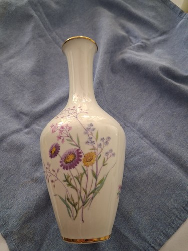Schöne vase winterling - schöne,